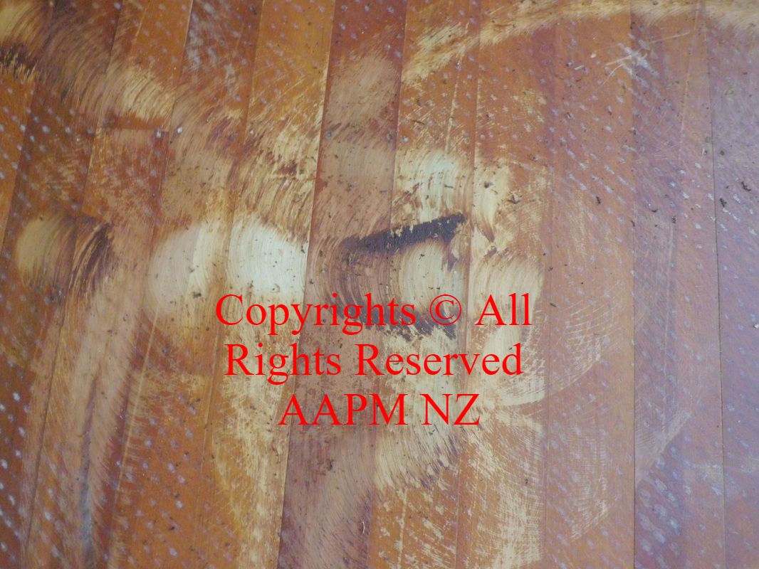 AAPM NZ Interior House Painting Image